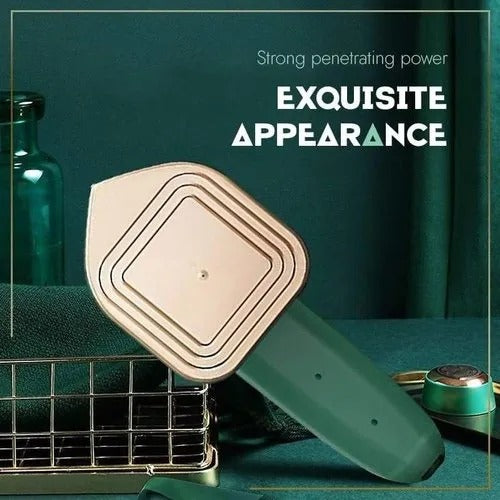 Portable 2-in-1 Dry & Steam Iron